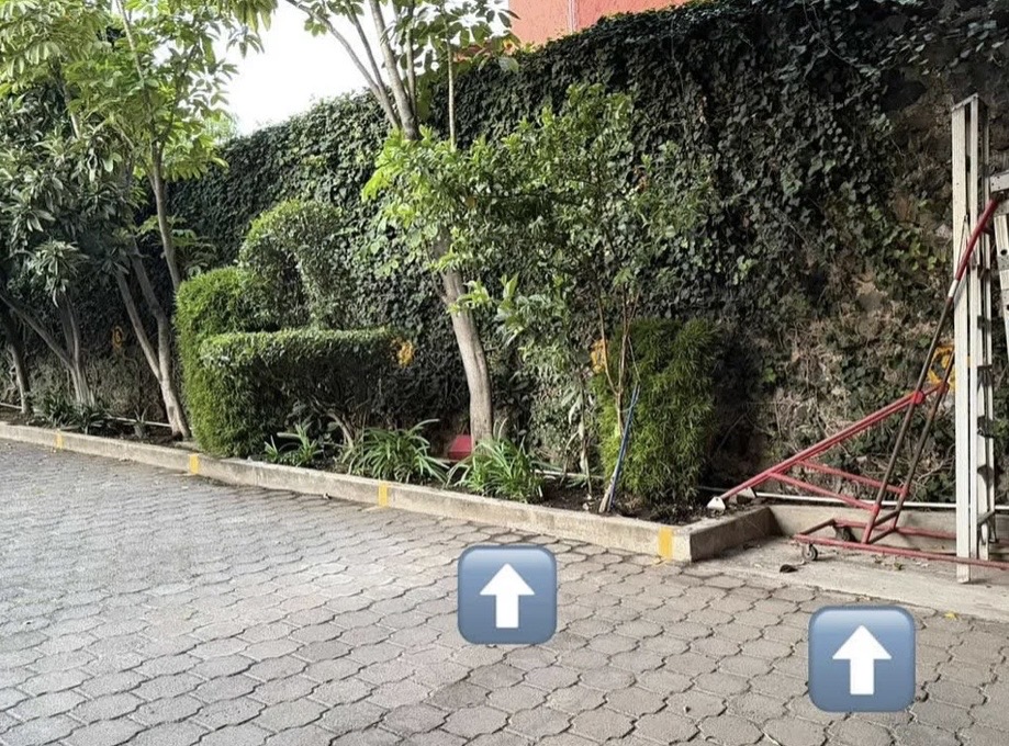 Renta, Oficina, Jardines del Pedregal, Álvaro Obregón, CDMX, fotografía 12